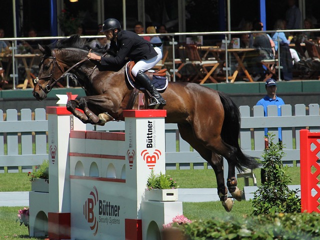 本地体育产 本地体育产