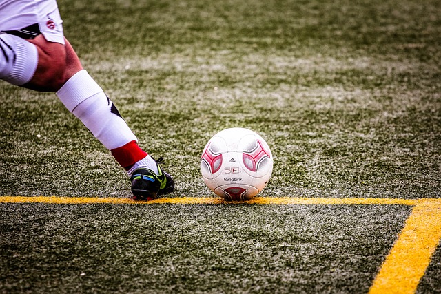 山东泰山的 山东泰山的