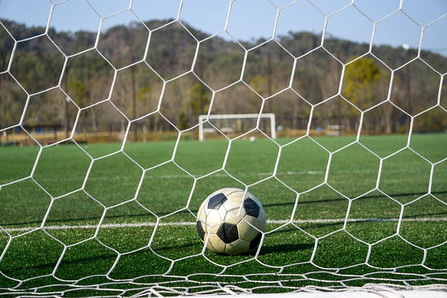 对手的制胜 对手的制胜